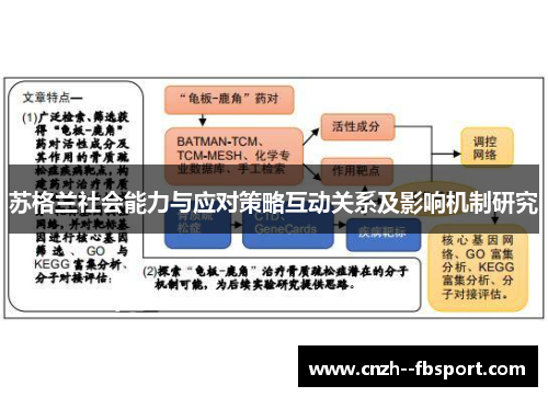 苏格兰社会能力与应对策略互动关系及影响机制研究